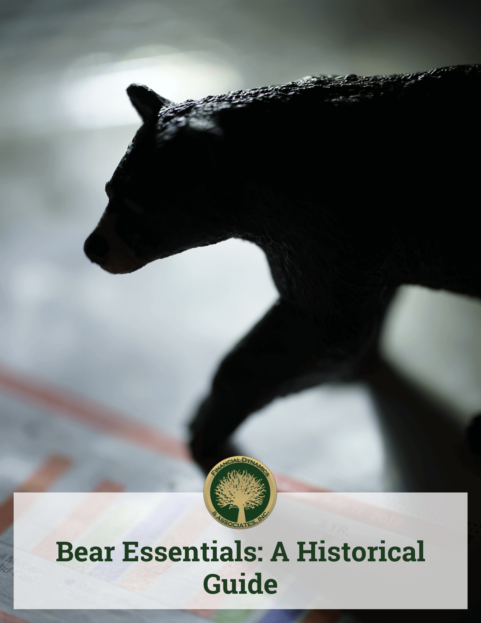 Bear Essentials A Historical Guide Cover Image
